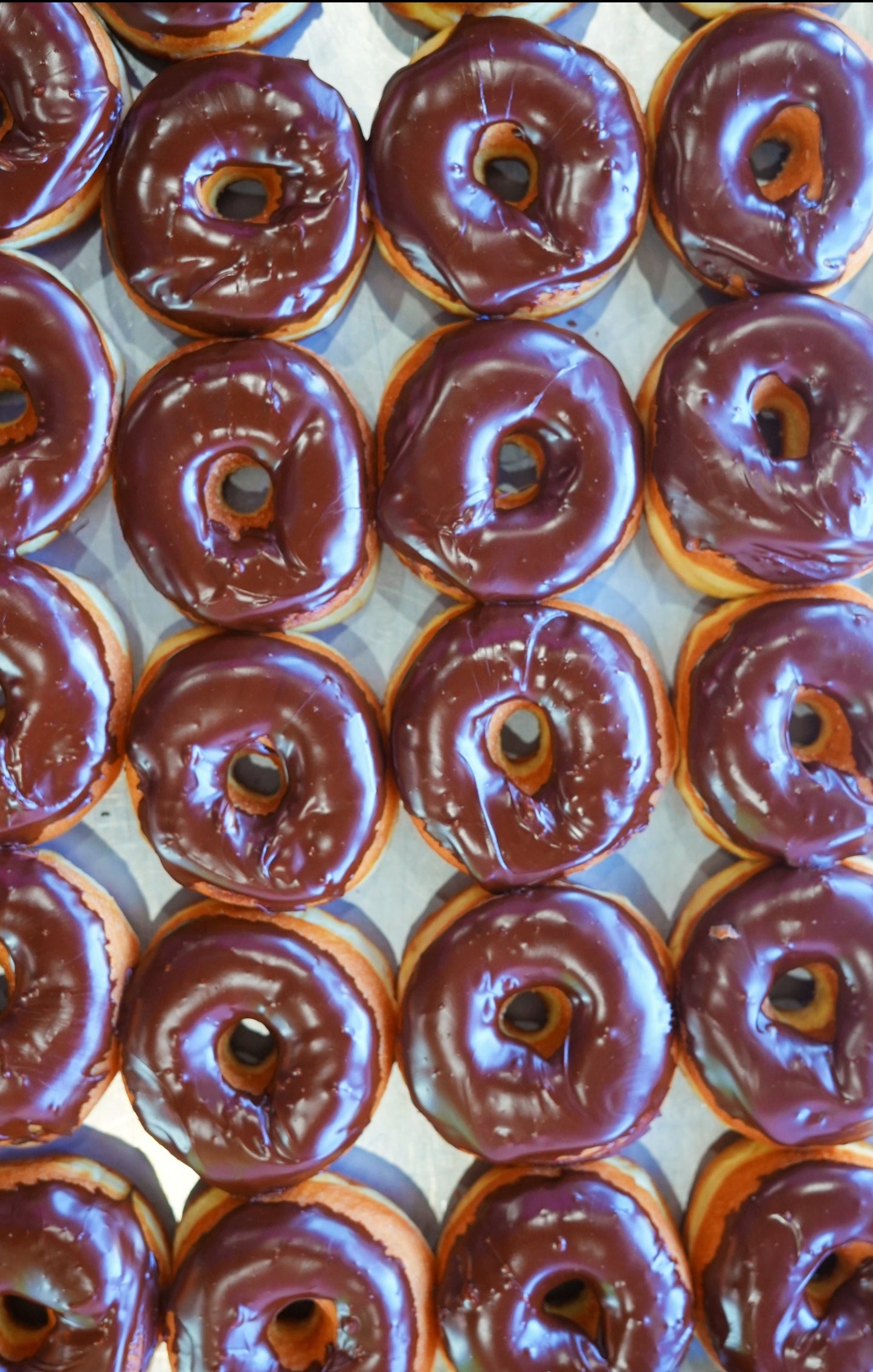 Chocolate Iced Donut