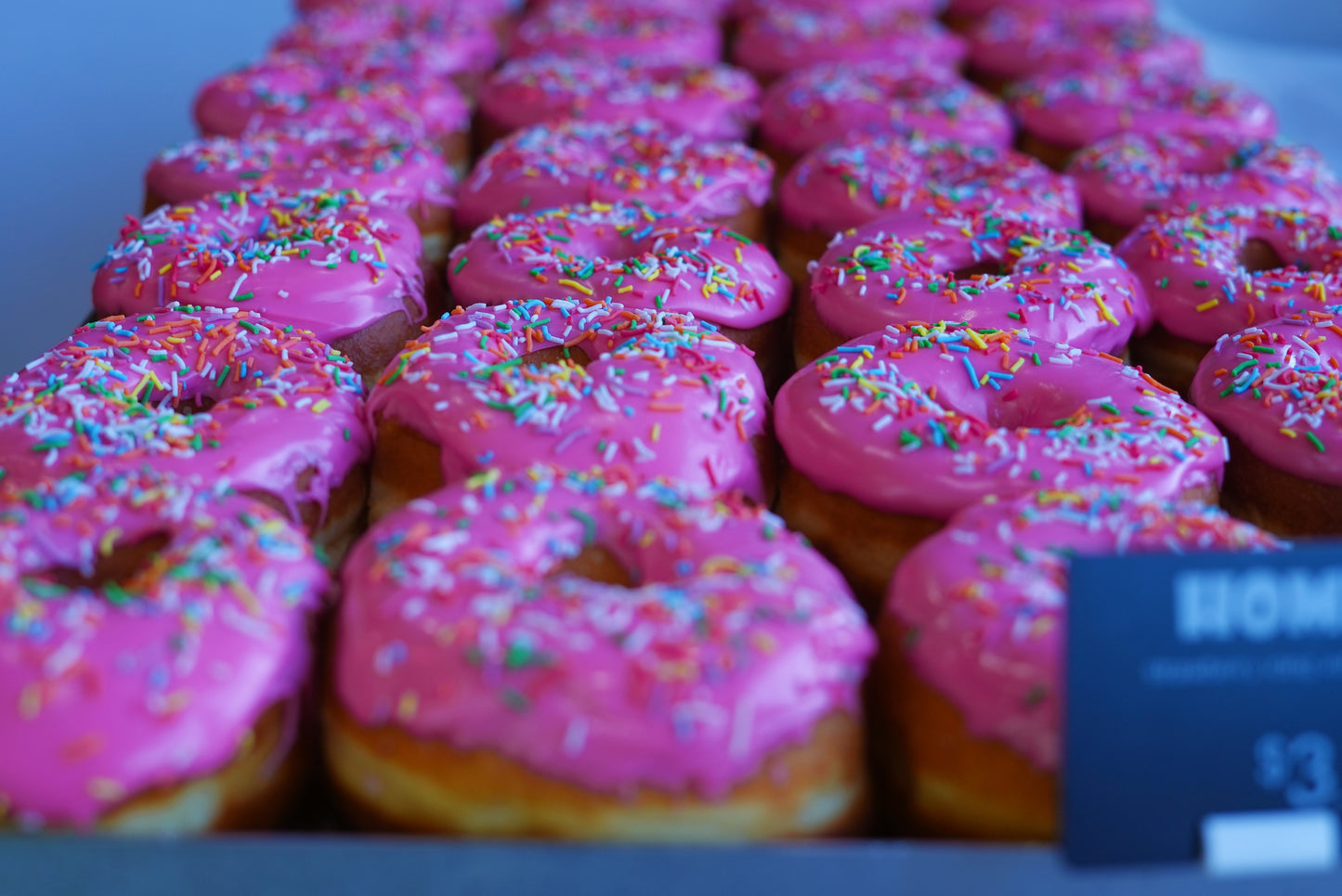 Homer Donut