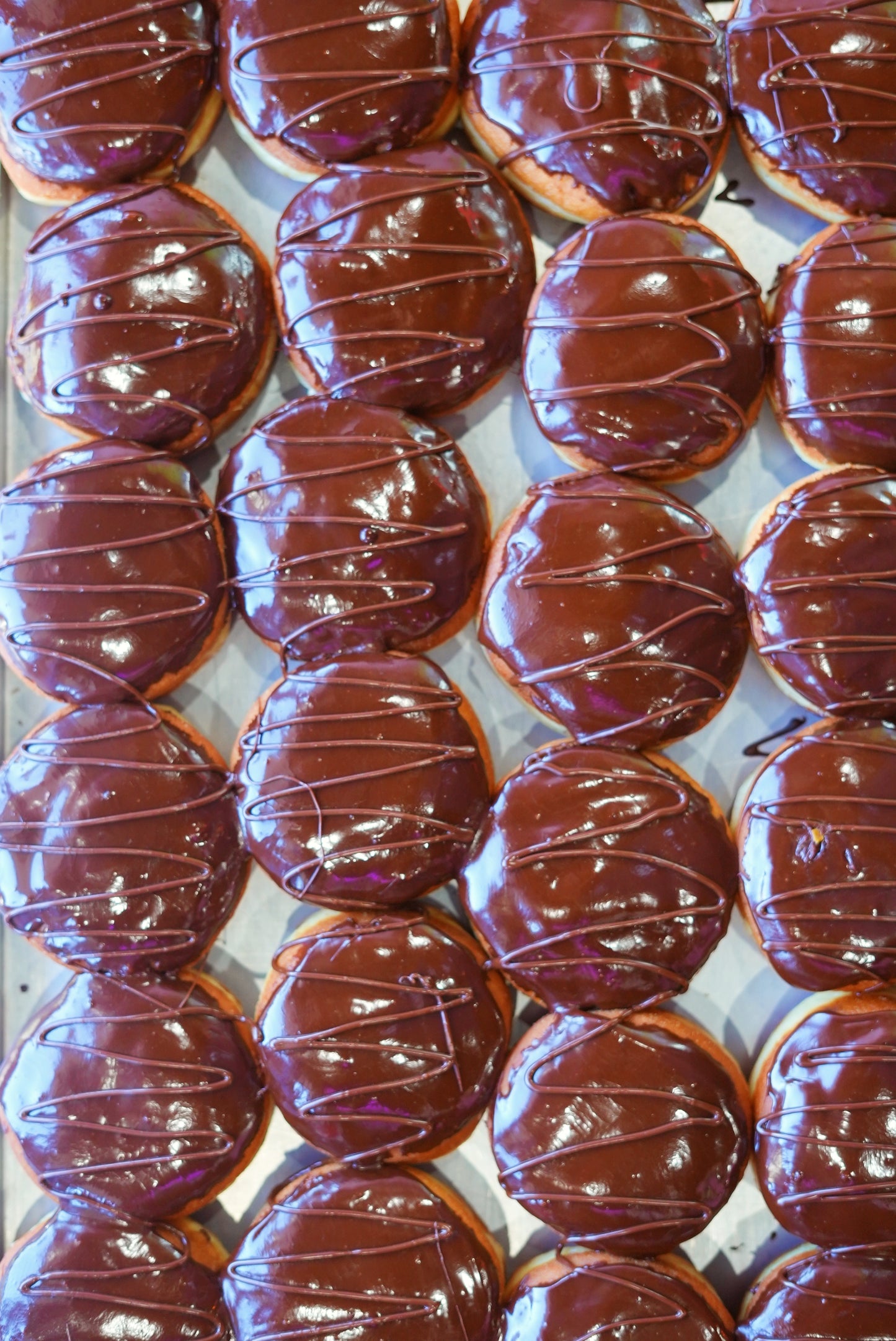 Boston Creme Donut